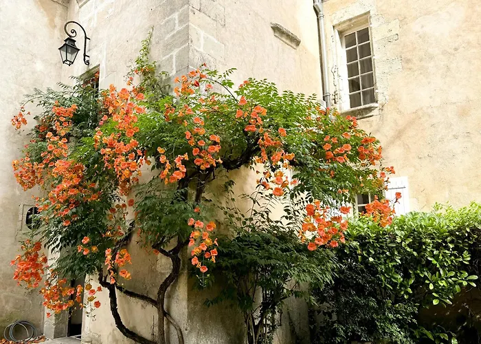 Domaine Labattut Saint-Astier (Dordogne)